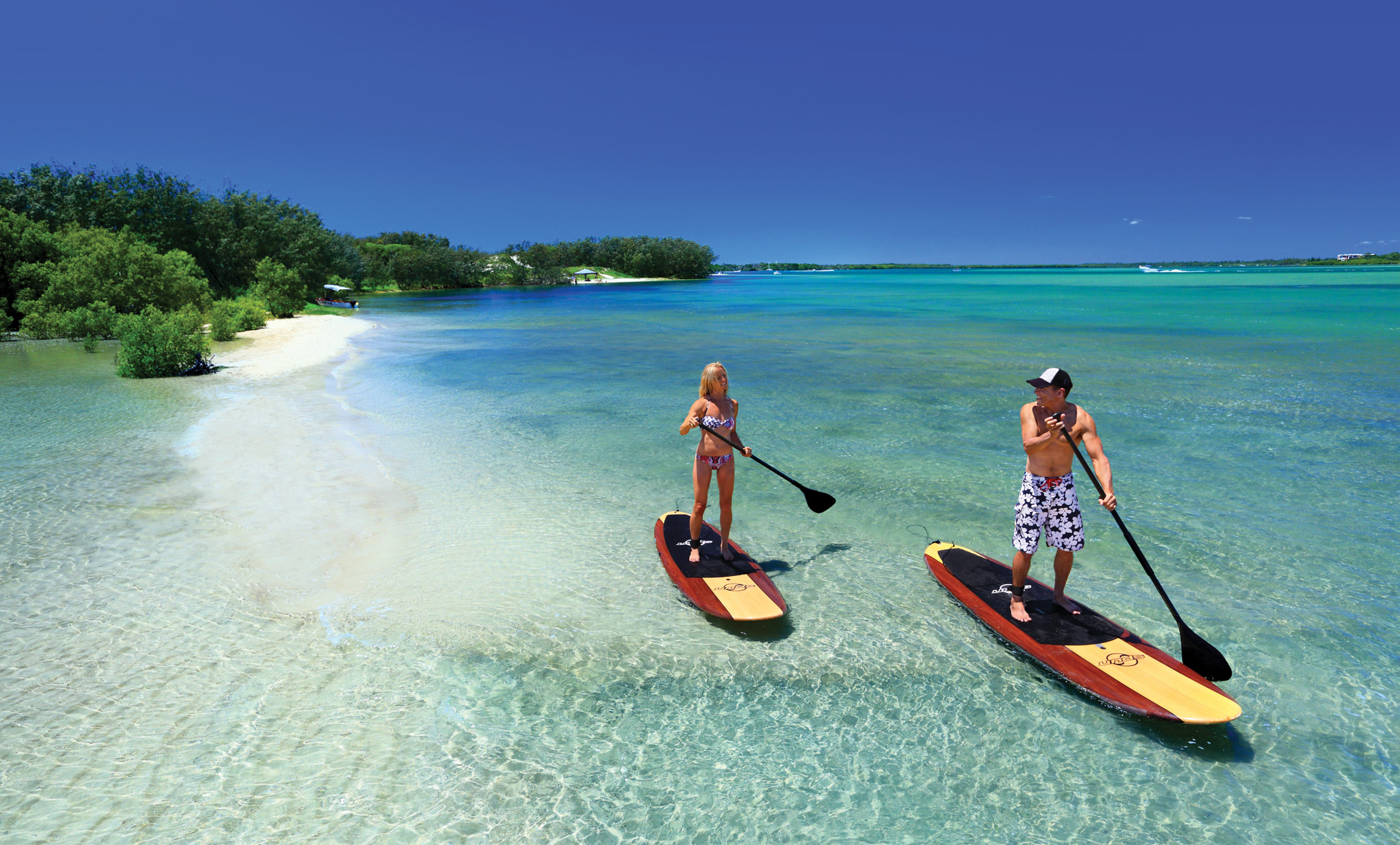 stand up paddle boarding on pumicestone passage